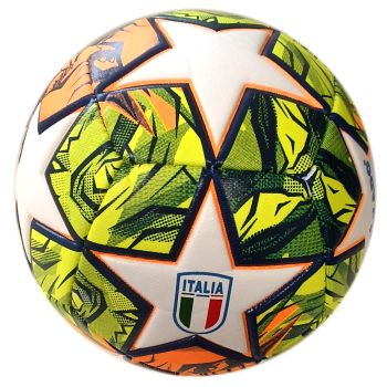 Immagine0