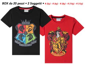 Immagine0