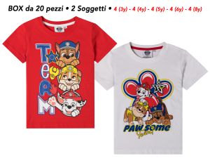 Immagine0