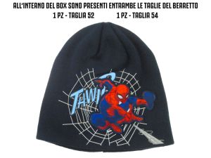 Immagine0