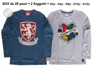 Immagine0