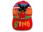 Box 24pz Cap Bing - BINCAPBO3