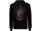 Hoodie Harry Potter Gryffindor vintage - HP5F.NR