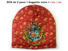 Harry Potter cap - HPBER3BOX2