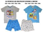 Paw Patrol Box pajamas - PJPAW1.BOX