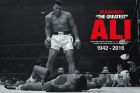 Poster Muhammad Ali PP33903 - PSMA1