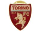 Pin Torino TR1000 - SPITOR1
