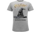 Camiseta con sombrero seleccionador de Harry Potter - HP17.GRM