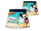 Box 12pz Costumi Topolino - TOPCOS6